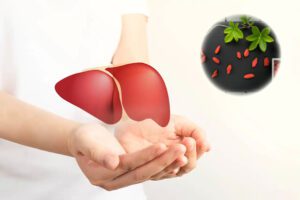 goji-berries-and-liver
